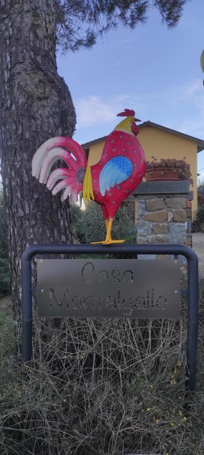 Casa Montalgallo Лучиньяно Экстерьер фото